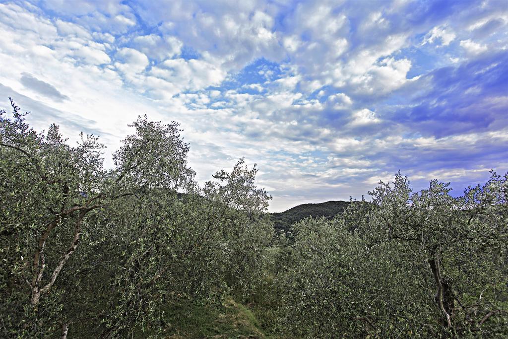 Agriturismo Terre Del Mistero Apricale Exterior foto